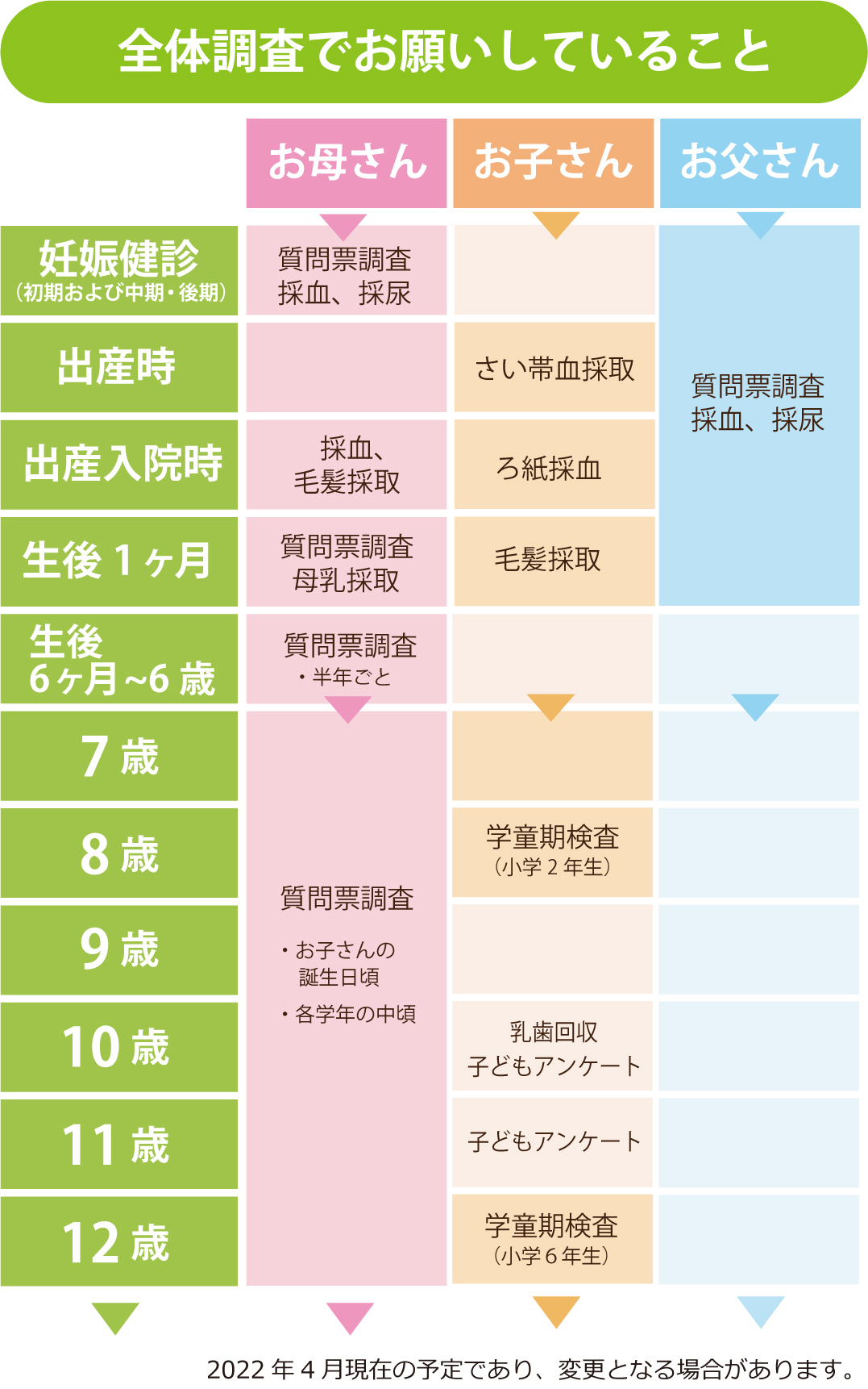 エコチル お願いすること 調査